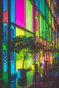 Neon tinted windows